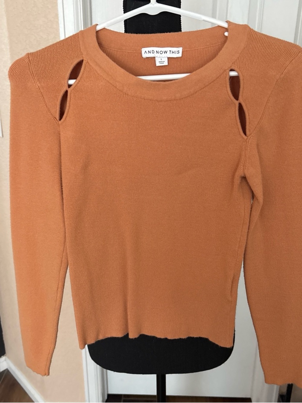 And Now This Women's Cutout Shoulder Sweater - Rust